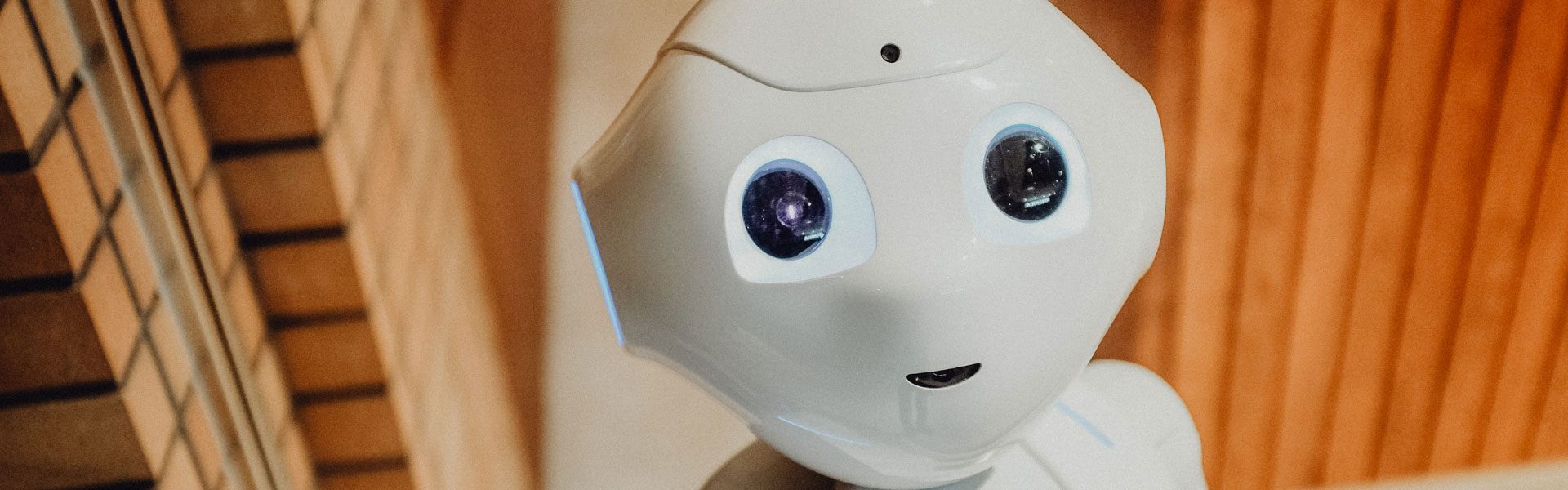 SichtWeisen | Roboter in der Alterspflege | Foto von Alex Knight von Pexels